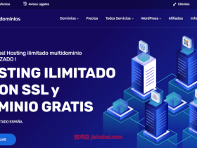 Plusdominios:西班牙vps,€6/月,2G内存/20G硬盘/10Gbps带宽@20T流量