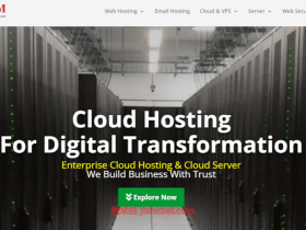 ControlVM:马来西亚vps,$5.9/月,原生IP/1G内存/40G SSD/1T流量/100Mbps带宽@1T流量
