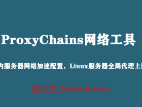 【网络工具】ProxyChains配置教程 — 使国内Linux服务器能访问下载GitHub资源
