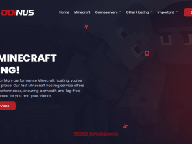 Odinus:荷兰vps,折后$2.8/月,2核/4G内存/40G硬盘/1Gbps带宽@无限流量