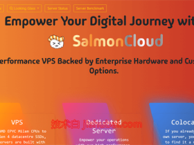 SalmonCloud 春季促销:全场 8 折,低至 $3.32/月,高性能 CPU + 10Gbps 大带宽,可选香港/美西圣何塞地区