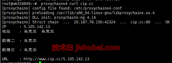【网络工具】ProxyChains配置教程 — 使国内Linux服务器能访问下载GitHub资源